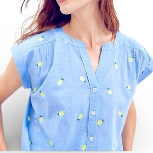 Loft blue lemon print women's top in cotton gauze fabric.